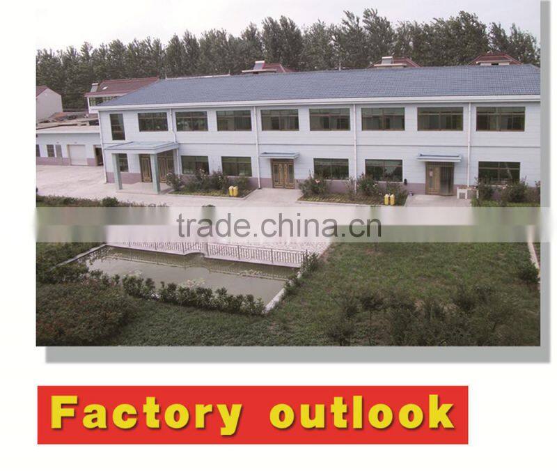 pasta macaroni making machine price plant