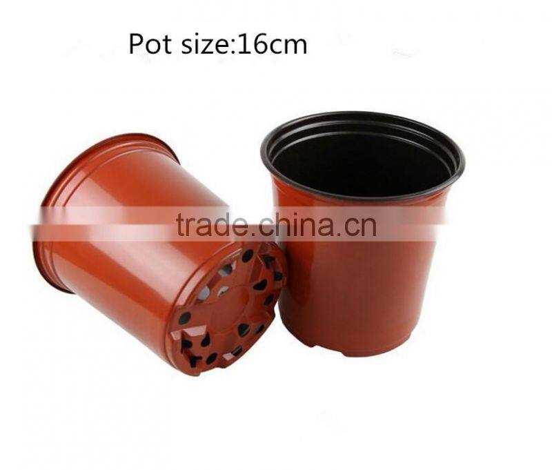 6 Pack Carry Tray for 16cm pots / Pot Carry tray