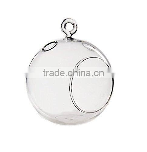 Acrylic Hanging Terrarium TE01