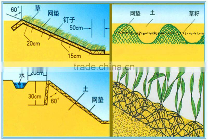 Three dimensional plant mat EM4 for slope protection and garden