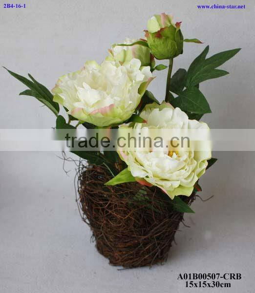 potted peony