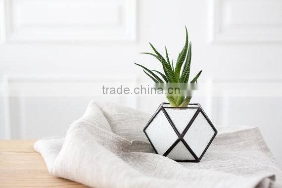 Gardening gift Cuboctahedron Cactus planter Geometric glass terrarium
