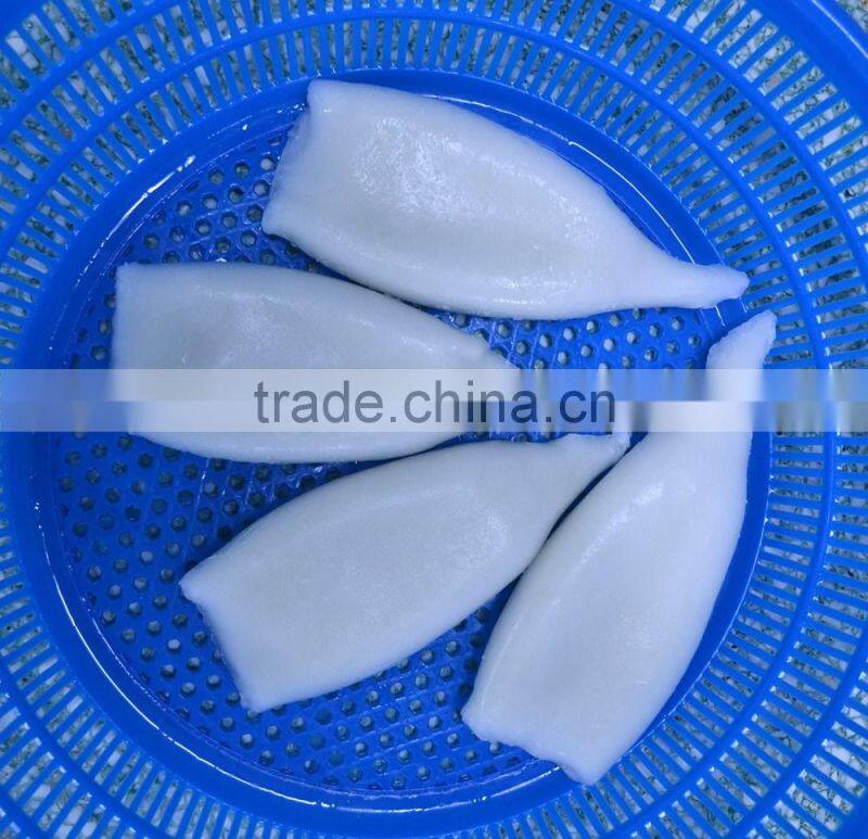 squid tube of japanese squid