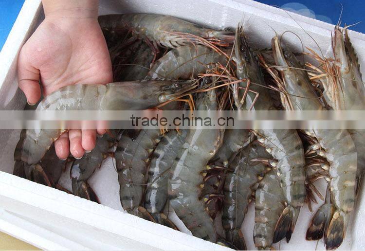 HL002 best quality price japan flavor shrimp salad