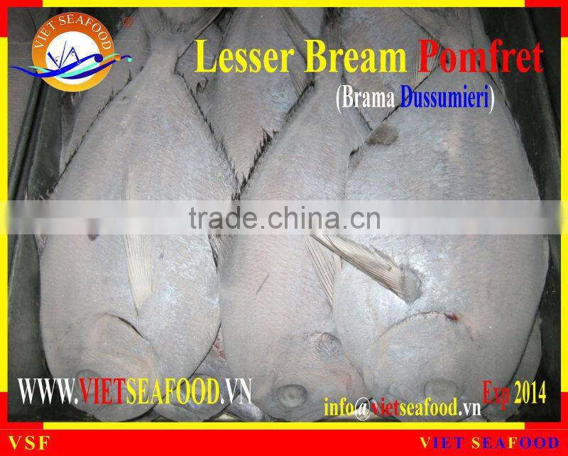 FROZEN LESSER BREAM POMFRET W/R