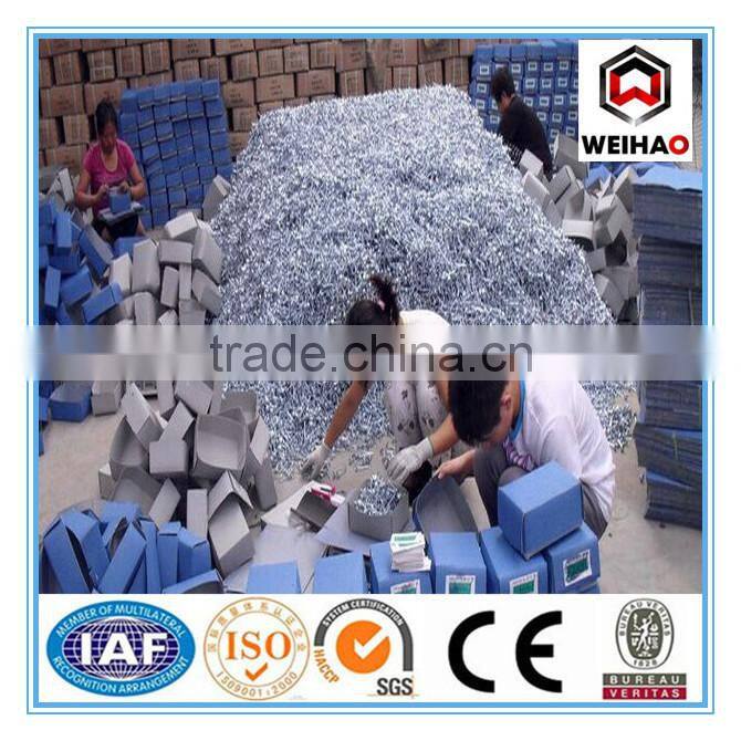 ISO 9001 Electro Galvanized Mushroom & umbrella head roofing nails