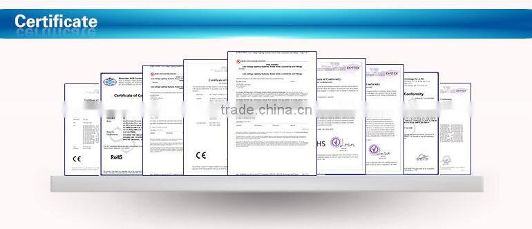 oem best selling double line smd 240led/m 3528led strip