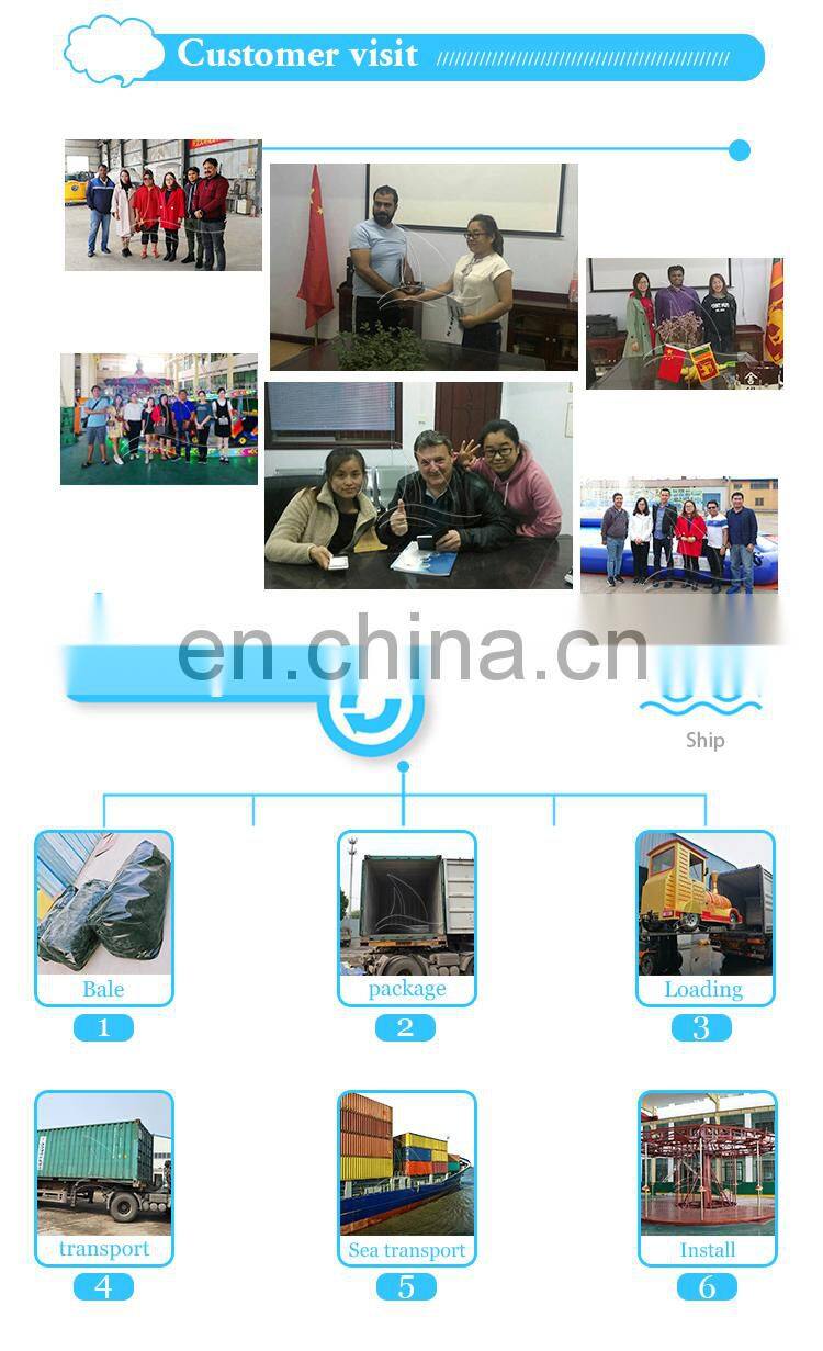 Amusement park attraction top driving pendulum rides for adults