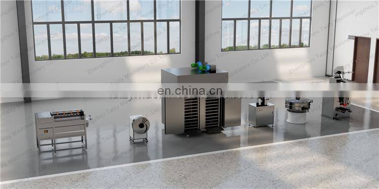 Ginger powder making machine potato french fries dryer machine industrial food dryer machine