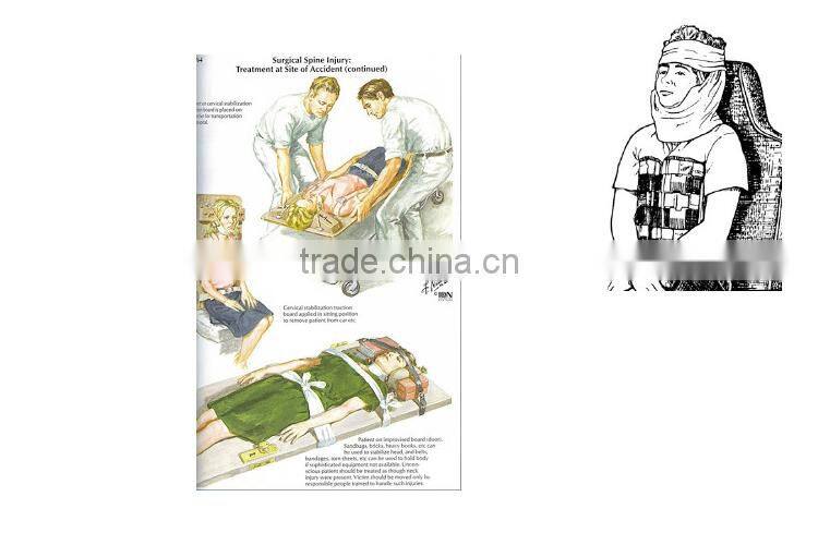 Back and Spine Stretches for Sale