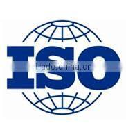 8 inch 1024*600P panel with RGB interface tft lcm