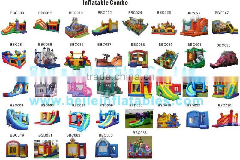 8mL Giant Dolphin Inflatable slide