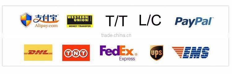 2016 Classic Quality Italian Master Leather Sofa