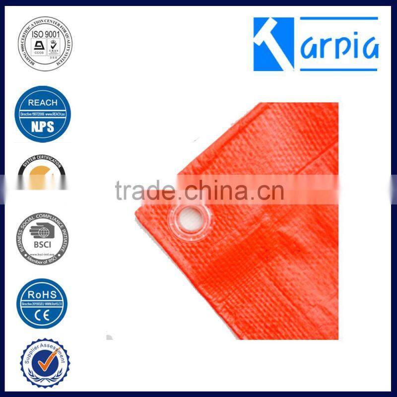 plastic roof tarp wholesales pe tarp at low price