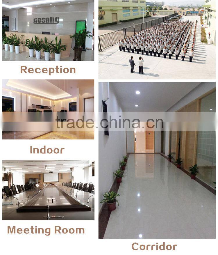 High quality professional microphone