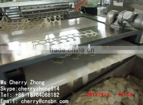 Thailand Rice Crackers Production Line