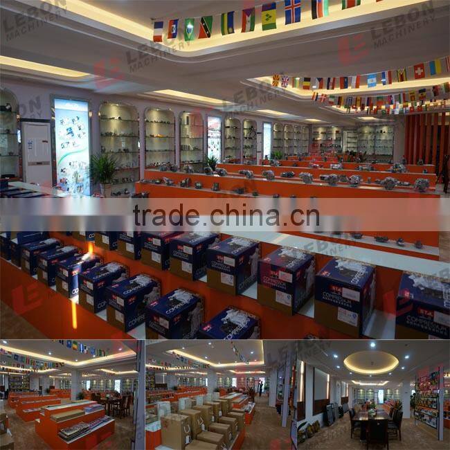 high pressure water pump LB-E3096 B7R 3183909/20575653