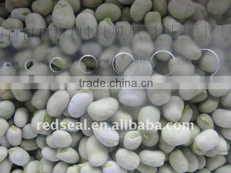 IQF fava beans or broad beans