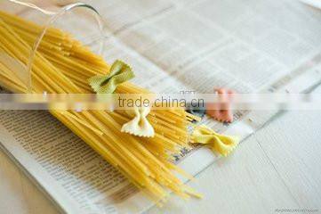 Automatic Macaroni Production Equipment