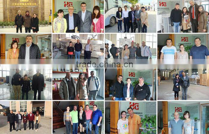 HG 250Kg per hour automatic steam cake making machine