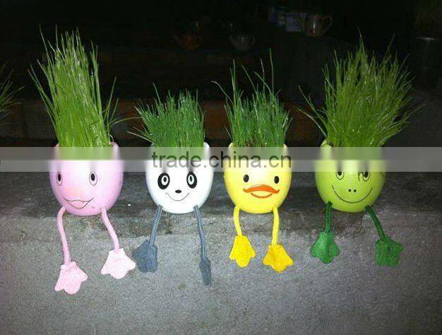 indoor plant growing kit diy mini planter set diy flower garden