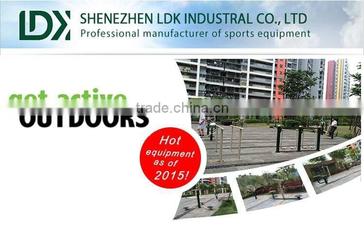 Deluxe horizontal ladder monkey bar workout