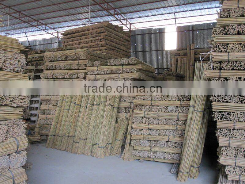 Tonkin Bamboo Stake - Bamboo cane - Natural Bamboo cane