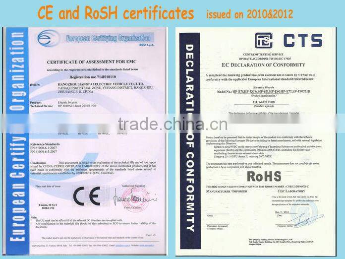 Electric 3 wheel motorcycle specialized for adults (HP-E150)