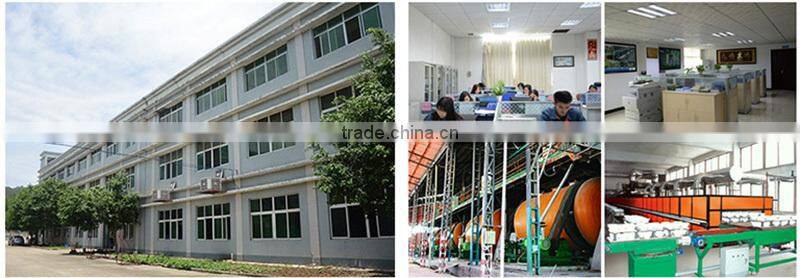 US standard ceramic ferrule horizontal resistor duopu