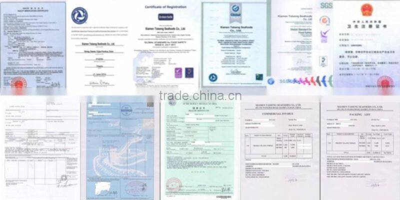 20cm+ Sea frozen horse mackerel to make money so easy