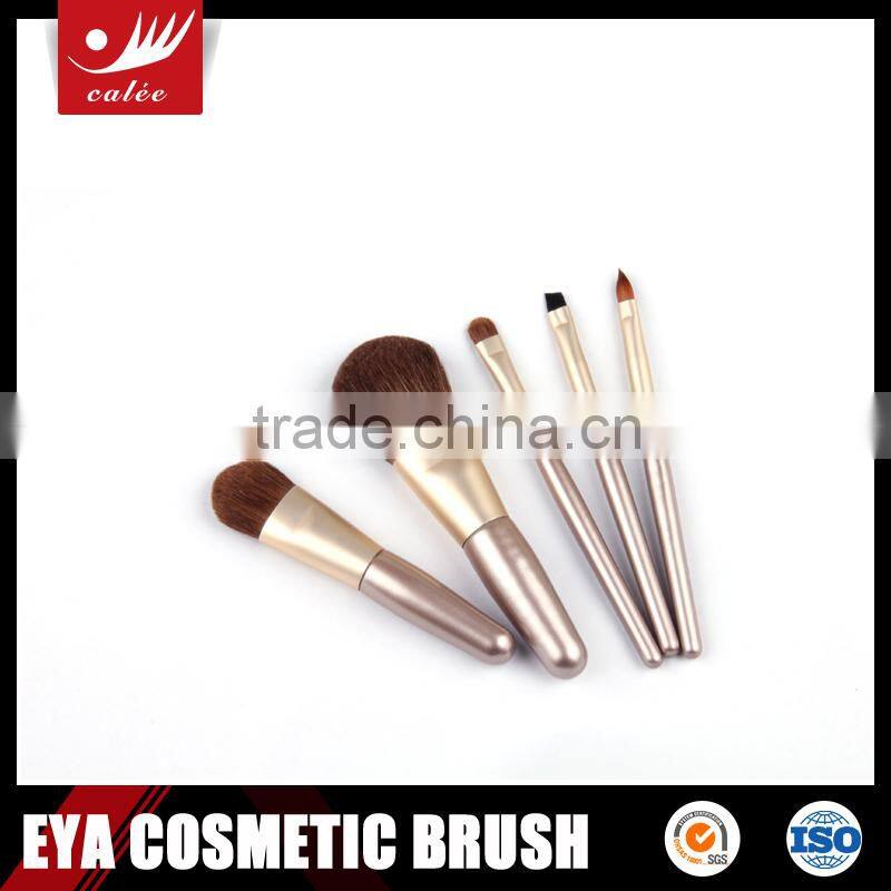 Small Gift 5-piece Travel Makeup Brush Set