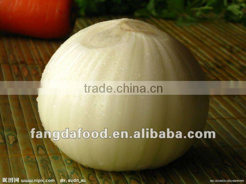 Fresh Yellow Onoion from china