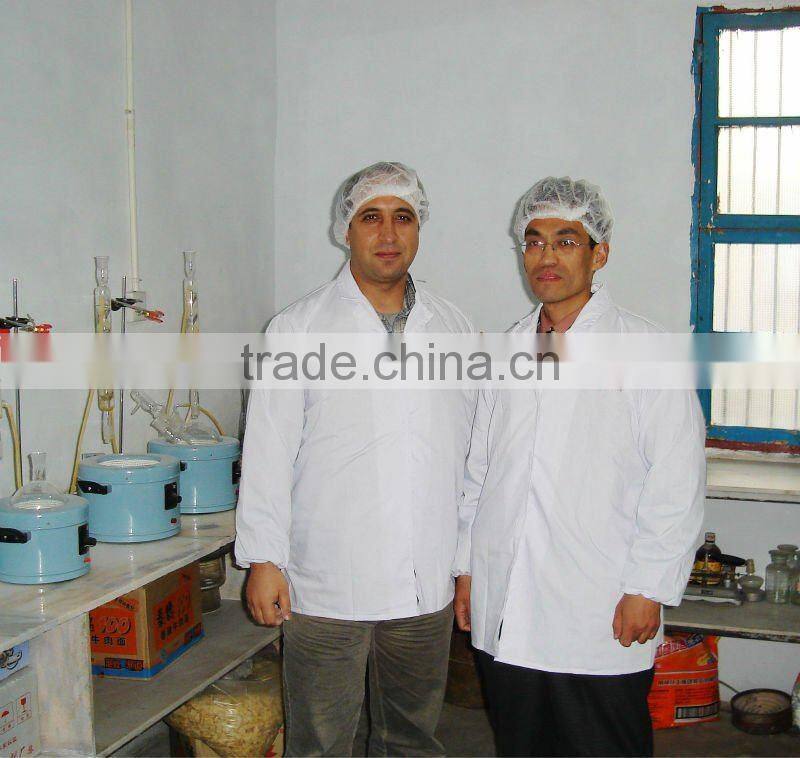 pure dehydrated Onion AD dried Yellow Onion Powder