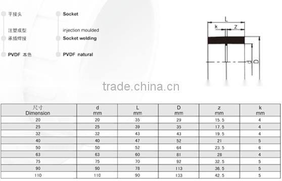 PVDF Socket