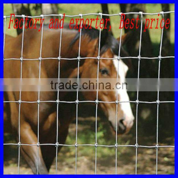 Supply high quality grassland field fence with best price (20 years factory with ISO 2008)