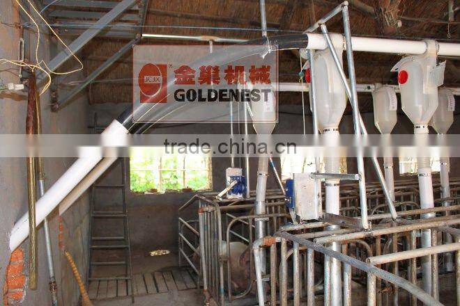 pig farming equipment pig feeders