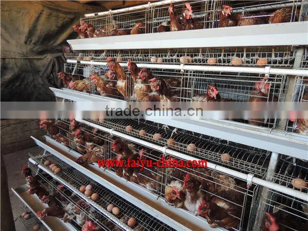 TAIYU Chicken Farm Chicken Cage for Sale