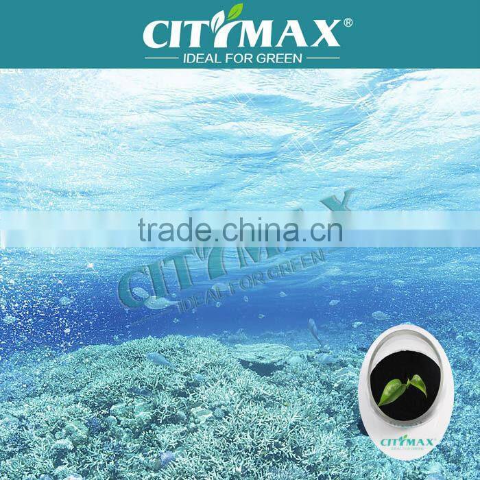 Seaweed Extract Bio fertilizer Plant