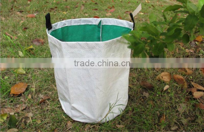 tree planting bag