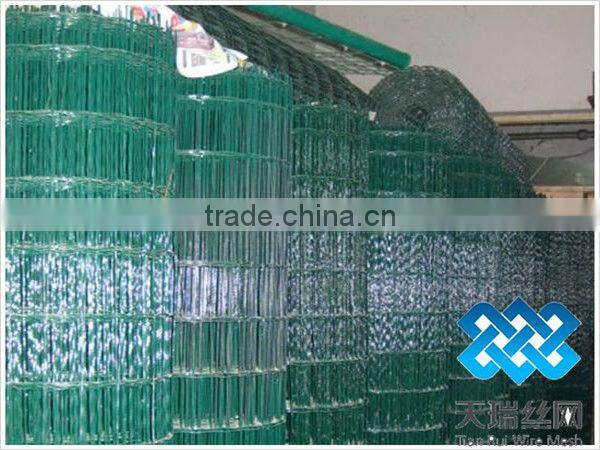 Metal Euro Fencing