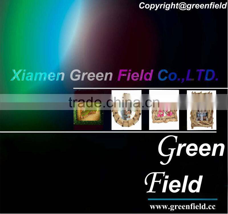 Fashion Design Wood Picture Frame