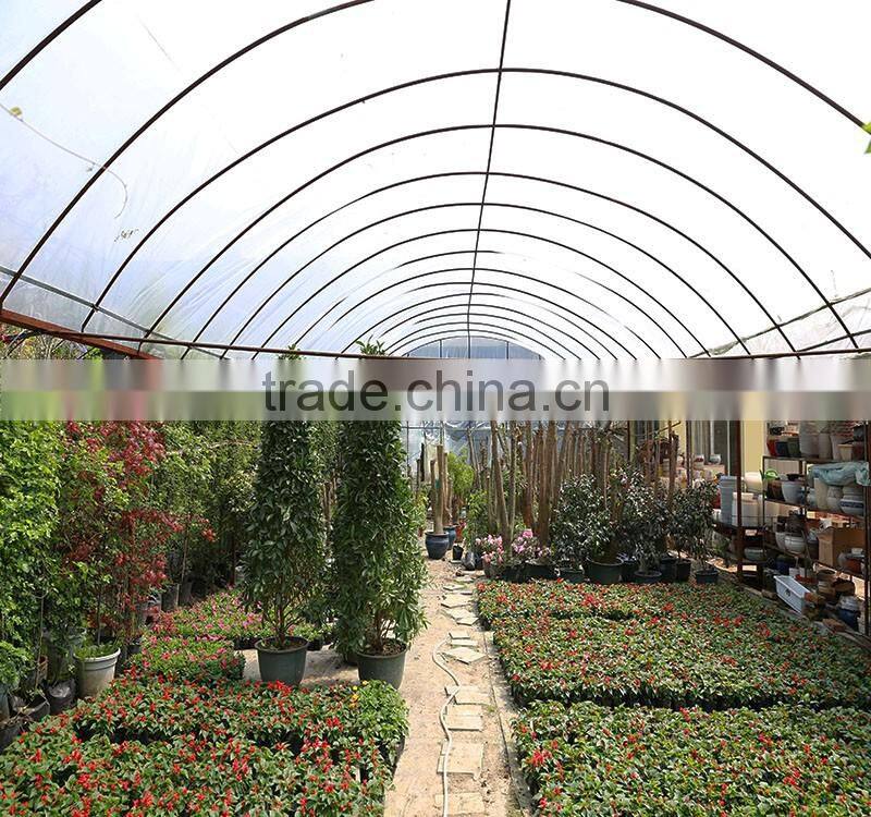 Film Cover Material and Multi-Span Agricultural Commercial Greenhouses