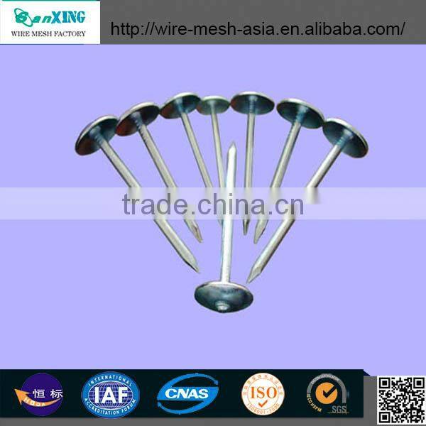 Q195 umbrella head twist shank roofing nails