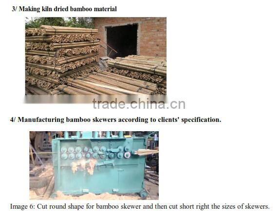 bamboo skewer, bamboo sticks