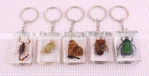 Luminous Real Insects Amber Keychain with Scorpion