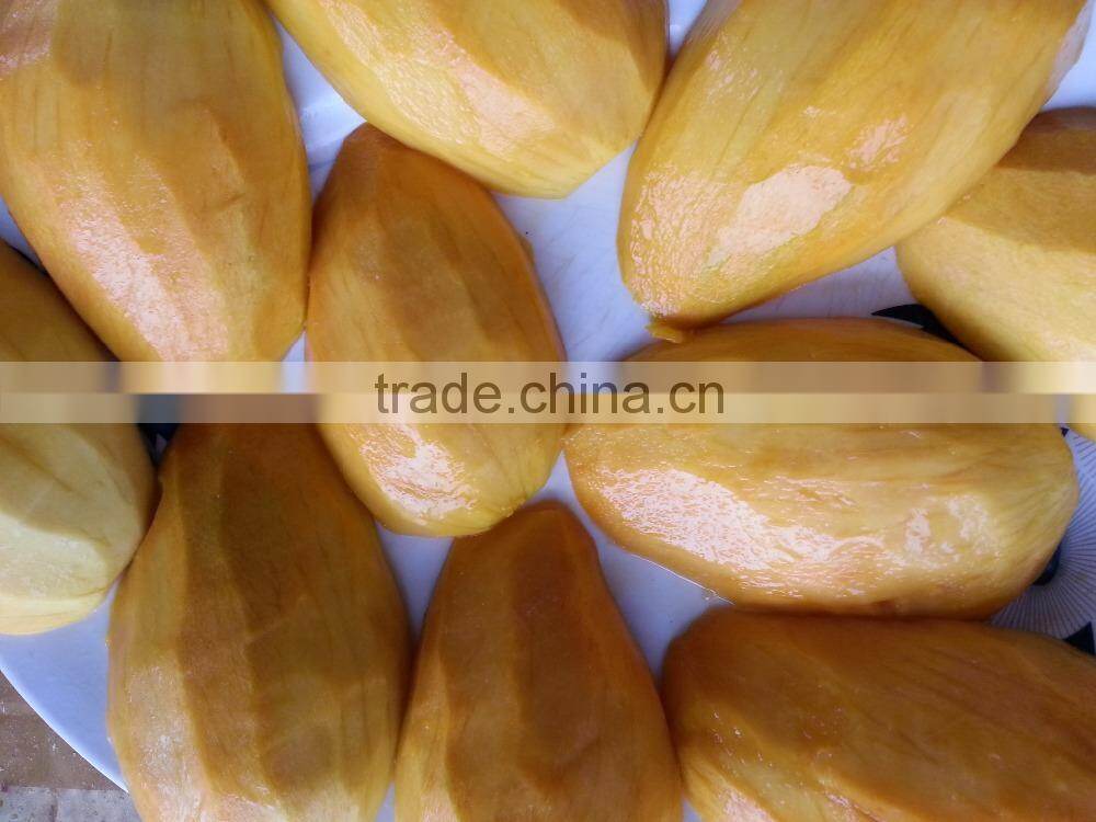 Best Price Fresh Yellow Mango with High Quality