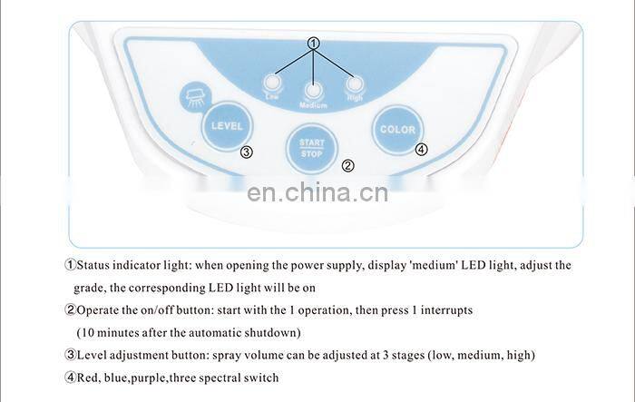 3 in 1 Steamer Blue and Red PDT Hydrogen Oxygen Dome Mask Beauty Machine