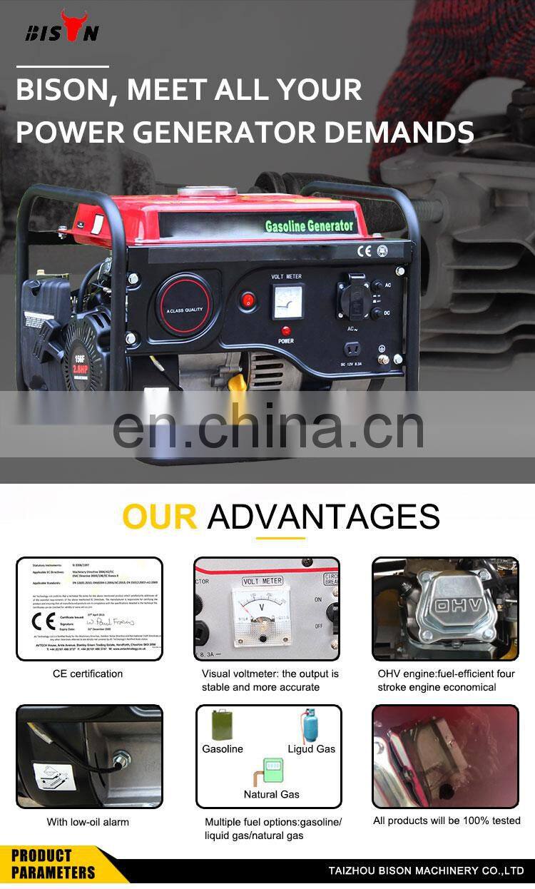 BISON CHINA 1.0kw Mini Gas Portable Generator AC Single Phase 220v Natural Gas Generating Set 1kw Gasoline Motor Generator