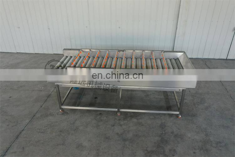 Factory Price Automatic Fruit Vegetable Apple Potato Tomato Orange Avocado Onion Washing Machine