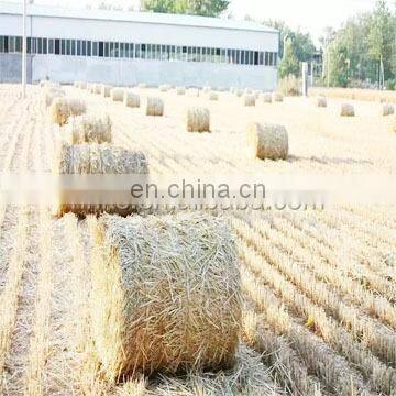 New style Factory direct cheap price mini round hay baler straw baler for sale